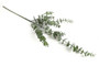 Eucalyptus vihreä 79cm