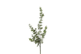 Eucalyptus vihreä 79cm