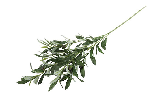 Oliivipuunoksa vihreä 90cm