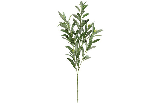 Oliivipuunoksa vihreä 90cm