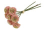 Daalia Pompon pinkki, 27cm