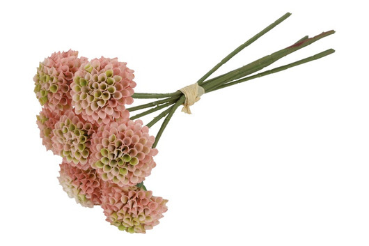 Daalia Pompon pinkki, 27cm