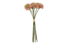 Daalia Pompon pinkki, 27cm