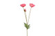 Unikko pinkki 95cm
