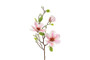 Magnolia pinkki 75cm