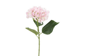 Jalohortensia pinkki 65cm