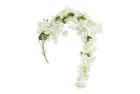 Bougainvillea/ihmeköynnös, valkoinen 134cm