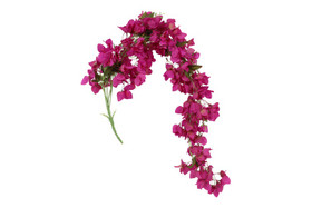Bougainvillea/ihmeköynnös, violetti 134cm