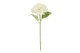 Hortensia valkoinen 40cm