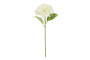 Hortensia valkoinen 40cm