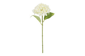 Hortensia valkoinen 40cm