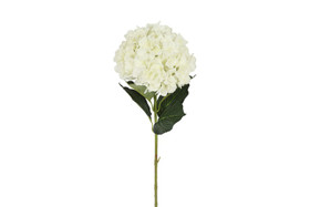 Hortensia XL valkoinen 95cm