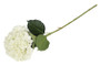 Hortensia XL valkoinen 95cm