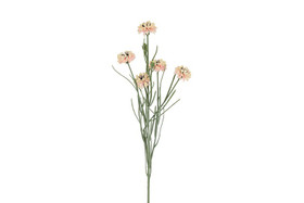 Kaunokki pinkki 66cm