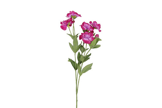 Anemone violetti 74cm