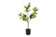 Sitruspuu ruukussa keltainen 61cm