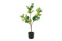 Sitruspuu ruukussa keltainen 61cm