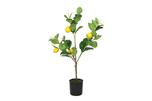 Sitruspuu ruukussa keltainen 61cm