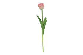 Papukaijatulppaani 3Dp pinkki 47cm