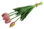 Tulppaani kimppu 41cm 3Dp pinkki/kerma