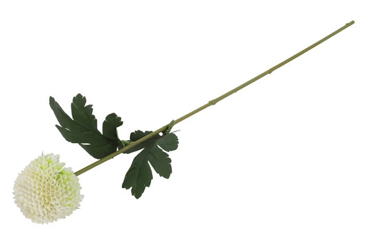 Krysanteemi valkoinen 57cm