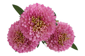 Krysanteemi kimppu violetti 64cm
