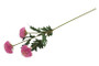 Krysanteemi kimppu violetti 64cm
