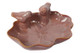 Lintuallas Ginko, pinkki 18,2cm