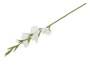 Gladiolus kukka, valkoinen 86cm