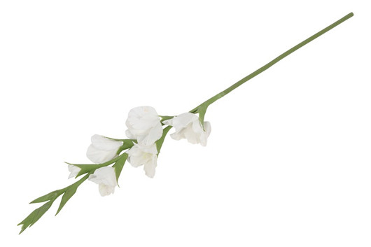 Gladiolus kukka, valkoinen 86cm