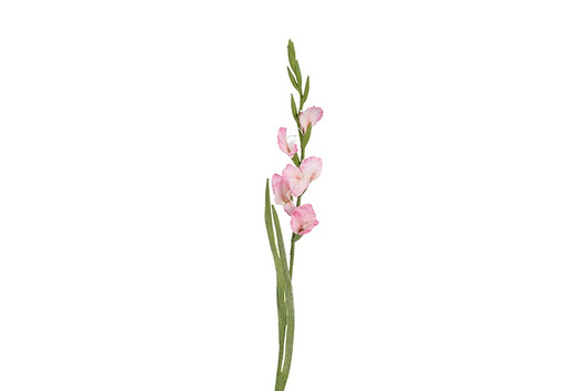 Gladiolus kukka, pinkki 87cm