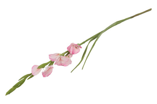 Gladiolus kukka, pinkki 87cm