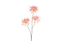 Hämähäkkilija pinkki 94cm