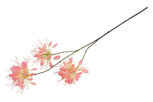 Hämähäkkilija pinkki 94cm