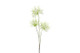 Hämähäkkilija valkoinen 94cm