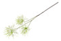 Hämähäkkilija valkoinen 94cm