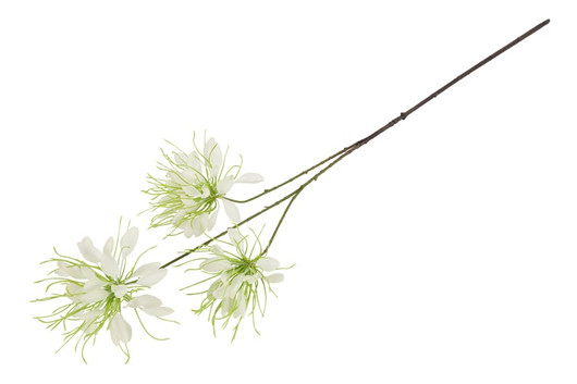 Hämähäkkilija valkoinen 94cm