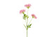 Afrikansinisarja pinkki 75cm