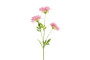 Afrikansinisarja pinkki 75cm