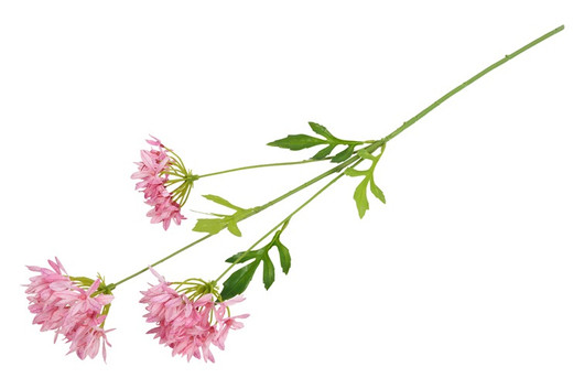Afrikansinisarja pinkki 75cm