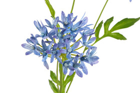 Afrikansinisarja sininen 75cm