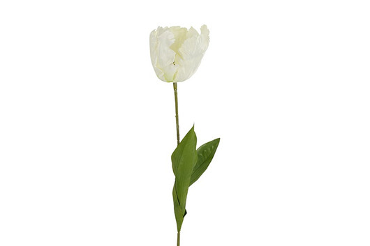 Kerrotulppaani valkoinen 68cm