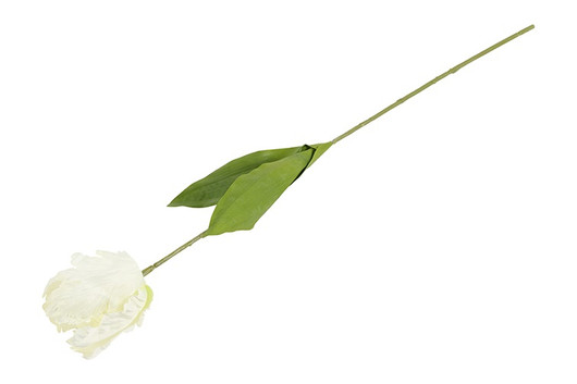 Kerrotulppaani valkoinen 68cm