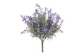 Laventeli violetti 24cm