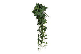 Murattiköynnös, vihreä 100cm