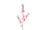 Rikkakukonkannus pinkki 99cm