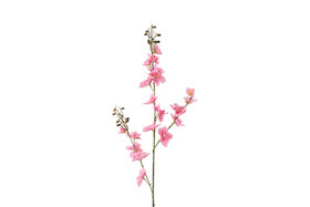 Rikkakukonkannus pinkki 99cm