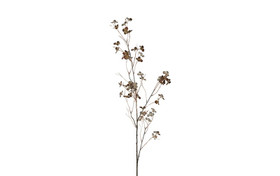 Ruskea kirsikankukkaoksa 110 cm