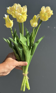 Papukaijatulppaani kimppu 47cm 3Dp