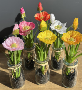 Unikko Poppy lasipullossa 22cm laj-6 (6kpl)